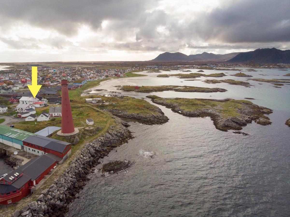 101 - Whale Safari * Andenes