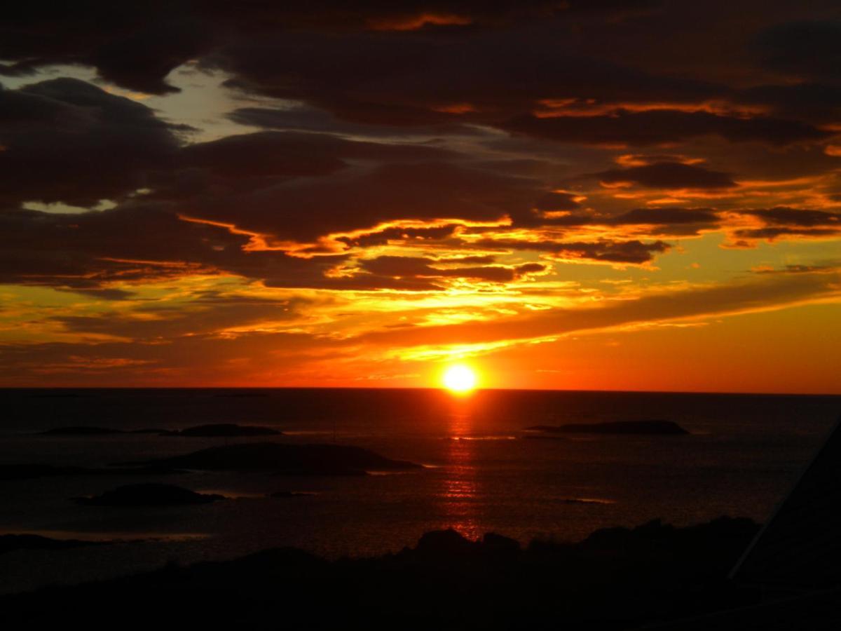 101 - Whale Safari * Andenes