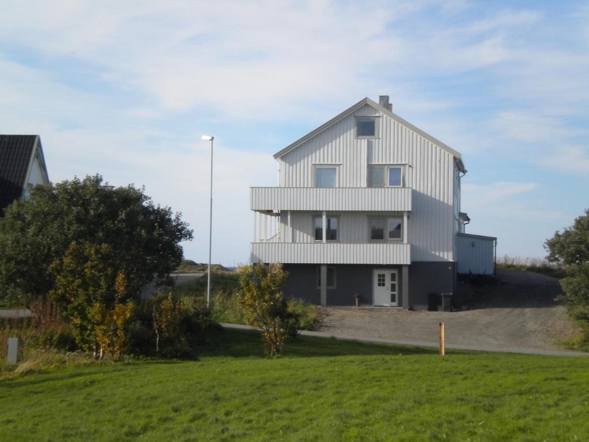 101 - Whale Safari Andenes